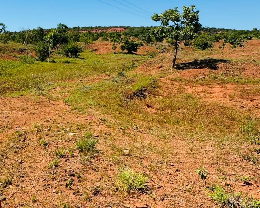 Semarh lança cartilha sobre desertificação e áreas degradadas no Piauí