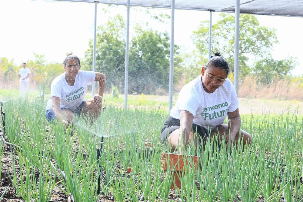 Governo do Estado beneficia agricultores de Nazária e Palmeirais