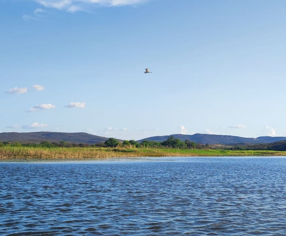 Área de proteção ambiental em Paulistana