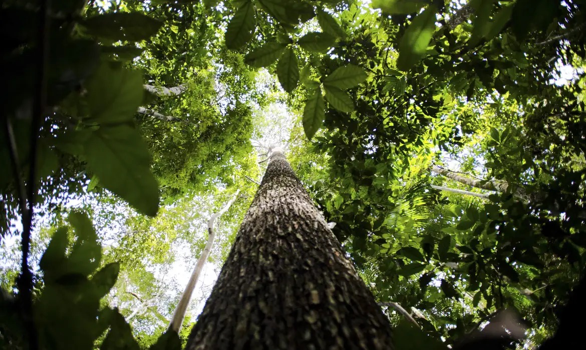 Amazônia