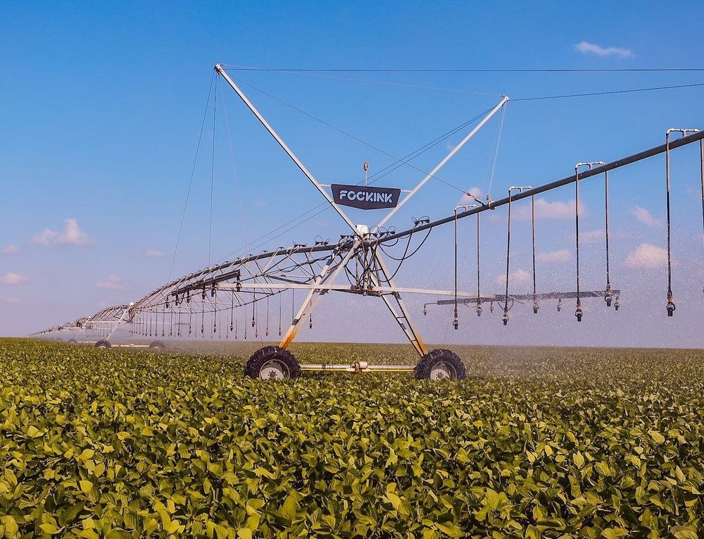Baixa Grande do Ribeiro e Uruçuí estão entre os 50 maiores produtores de grãos do Brasil