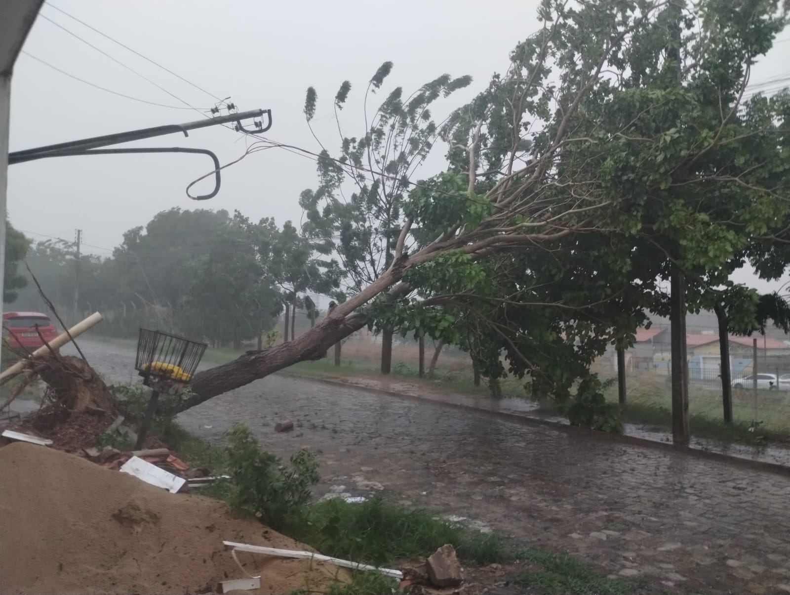 Árvore caiu no Residencial Jardins do Leste, deixando moradores em desespero e sem energia