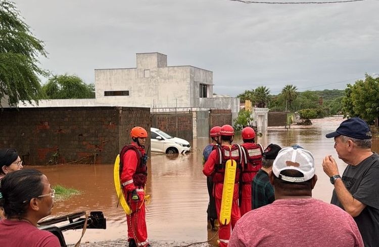 Equipes do Corpo de Bombeiros Militar do Piauí (CBMEPI), da Defesa Civil do Estado, da Polícia Militar do Piauí e do Exército Brasileiro