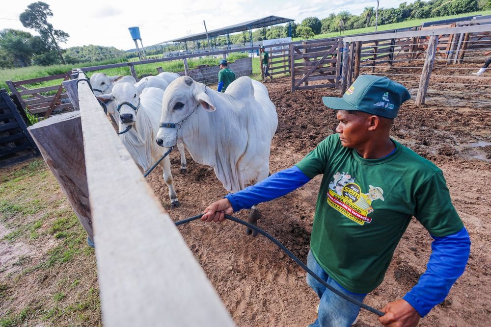 Agropecuária do Piauí