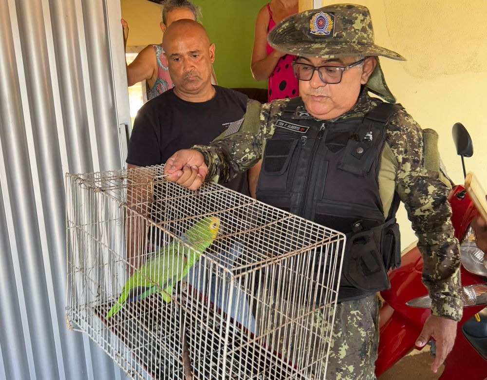 Operação em Esperantina, em parceria com a Delegacia de Polícia do Meio Ambiente e a Segunda Companhia Independente de Policiamento Ambiental de Parnaíba