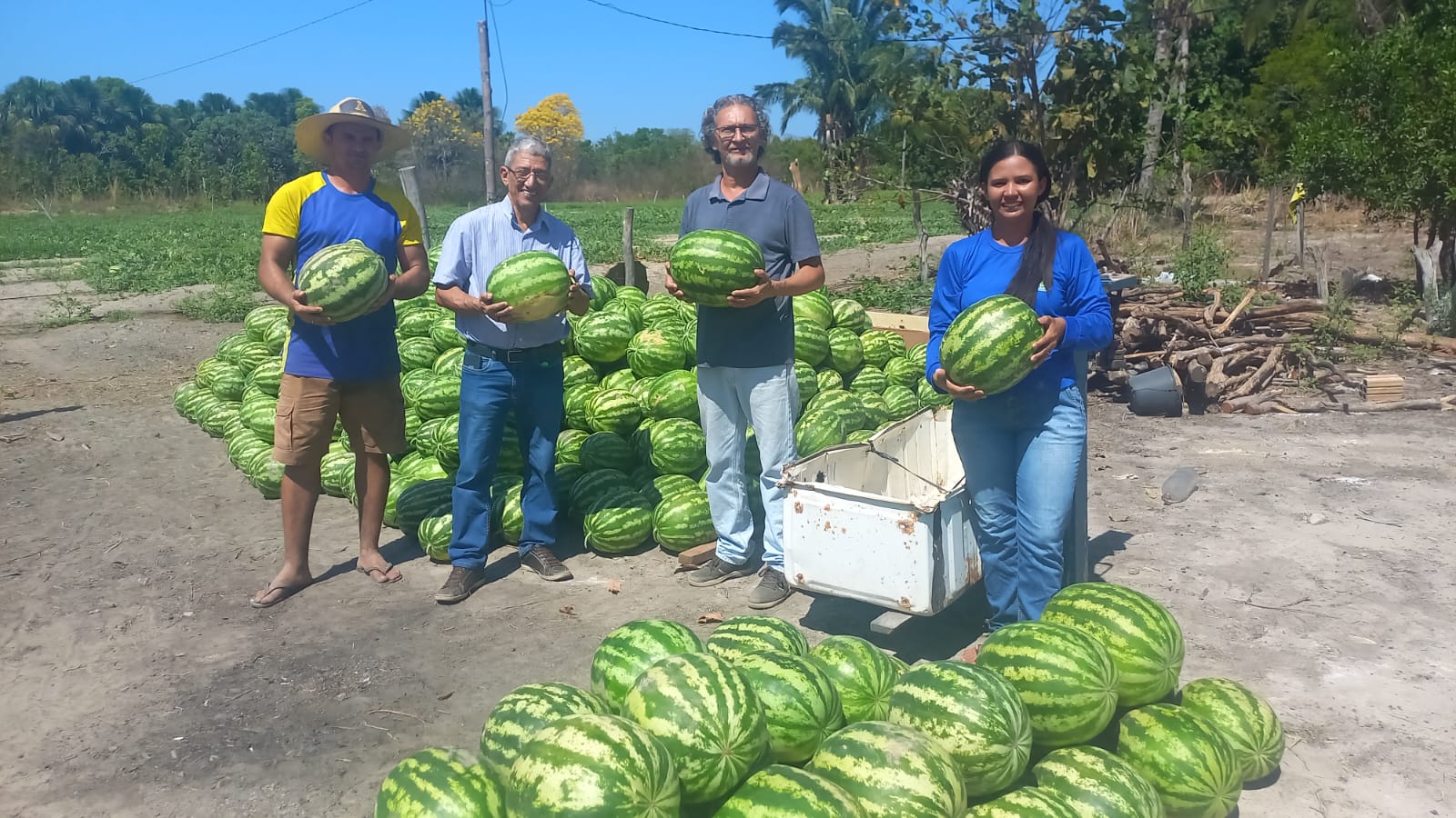 Pequenos produtores passam a plantar com mais segurança