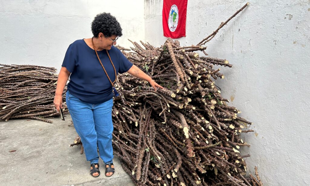 Secretária Rejane Tavares participou da entrega de manivas de mandioca em Picos