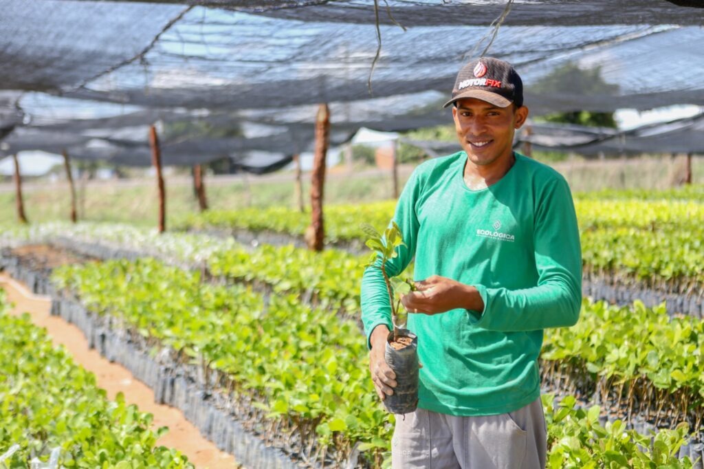 Programa Garantia Safra para agricultores familiares do Piauí