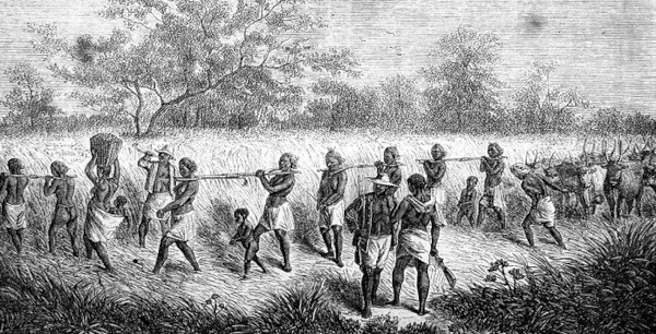 A abolição do trabalho escravo no Brasil aconteceu de forma lenta e conservadora e só se concretizou em 1888