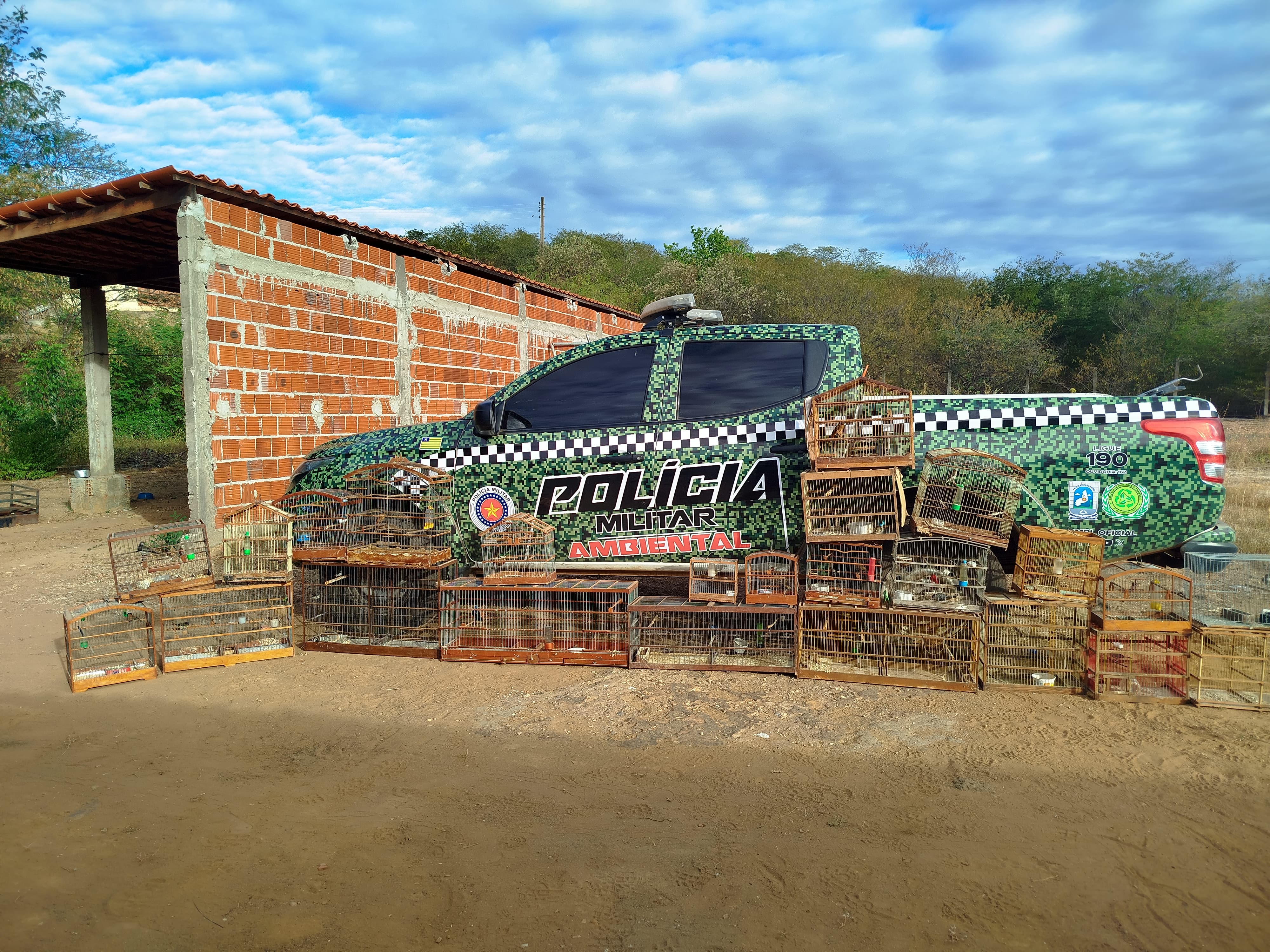 Polícia ambiental encontrou 30 gaiolas, 8 alçapões e um total de 21 aves mantidas em cativeiro