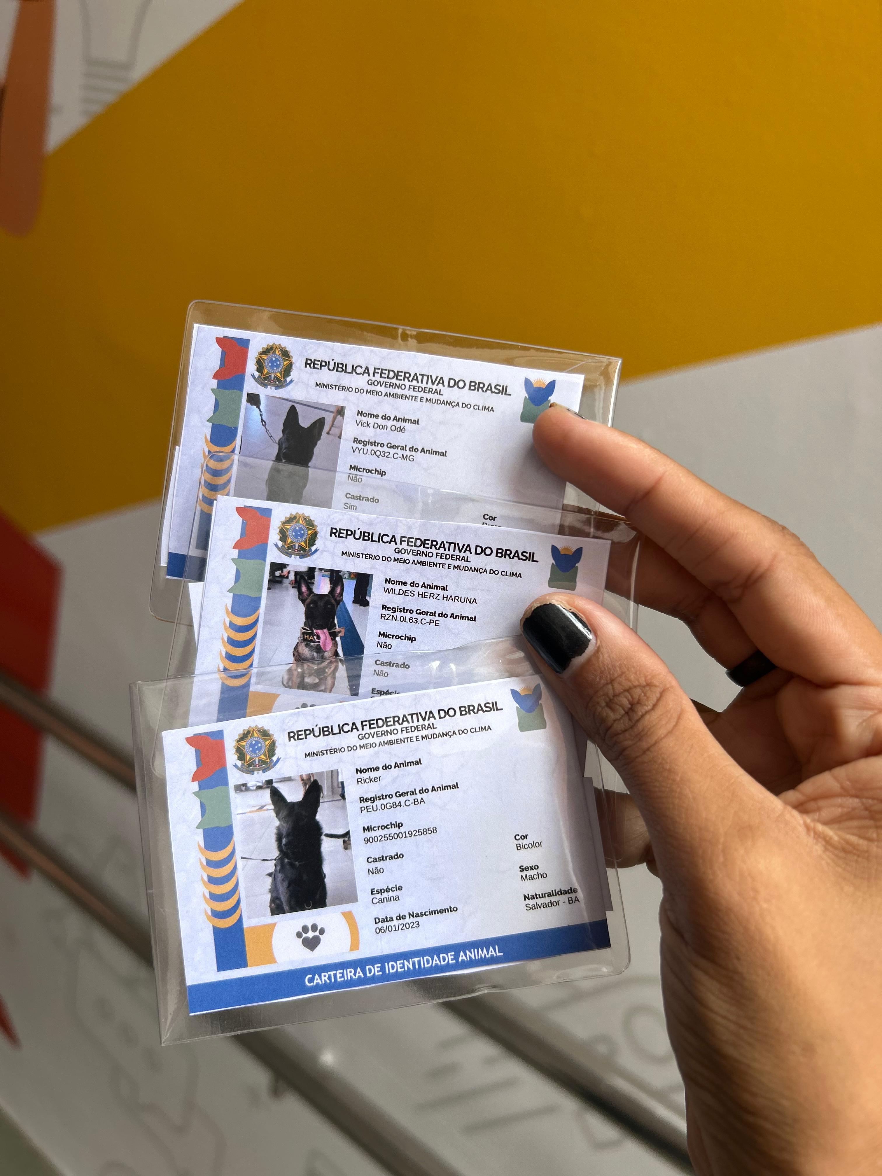 Durante a ação, foram emitidas cerca de 40 identidades para os animais