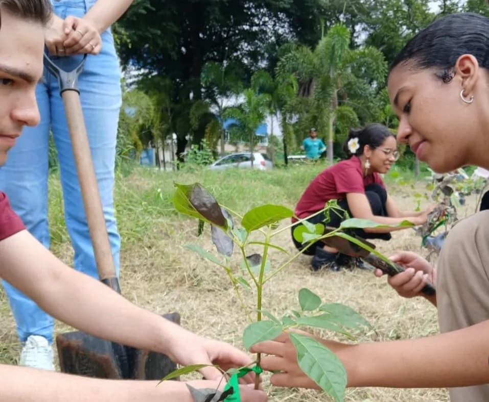 No Piauí, jovens ativistas transformam resíduos em adubo, espaços cinzas em jardins e ideias em ação