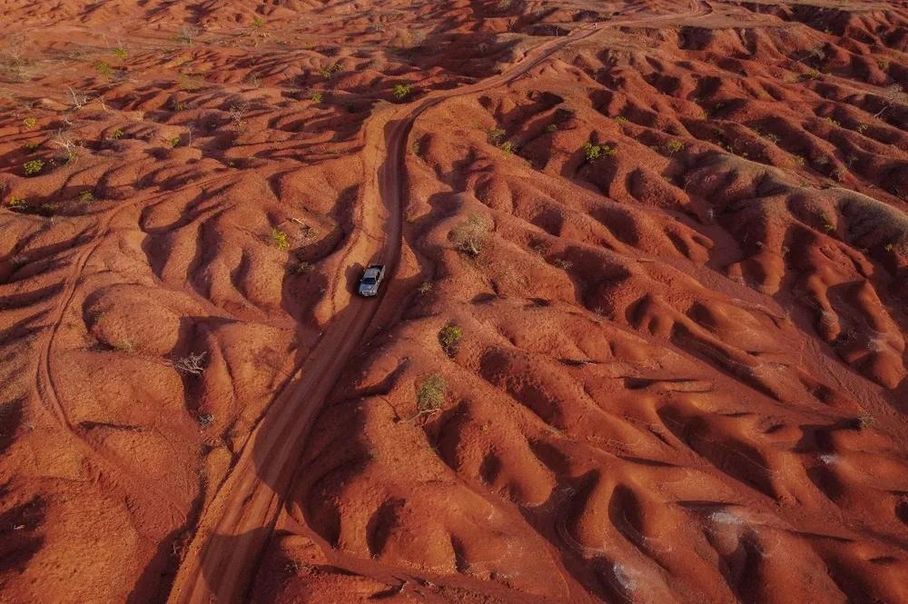 Ações para recuperar áreas degradadas e combater a desertificação