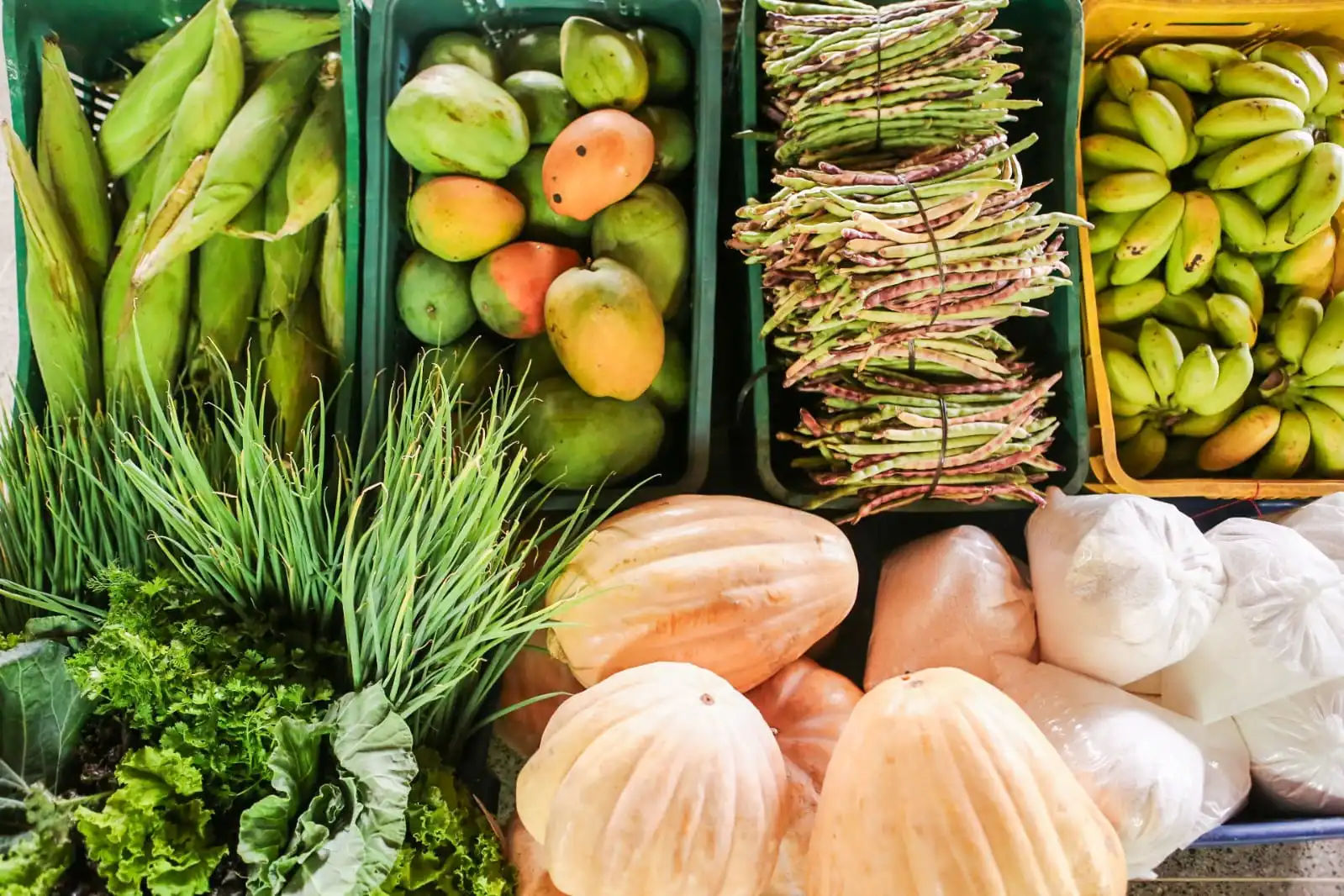 Programa de Alimentação Saudável (PAS)