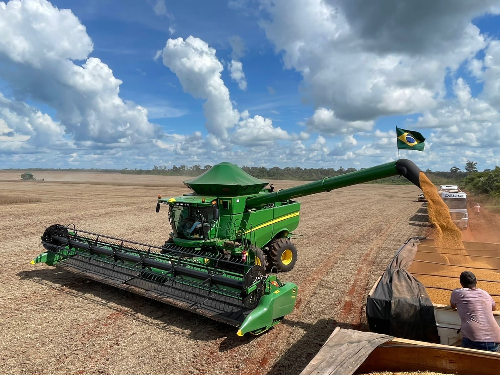 Produção agrícola no Sul do Piauí