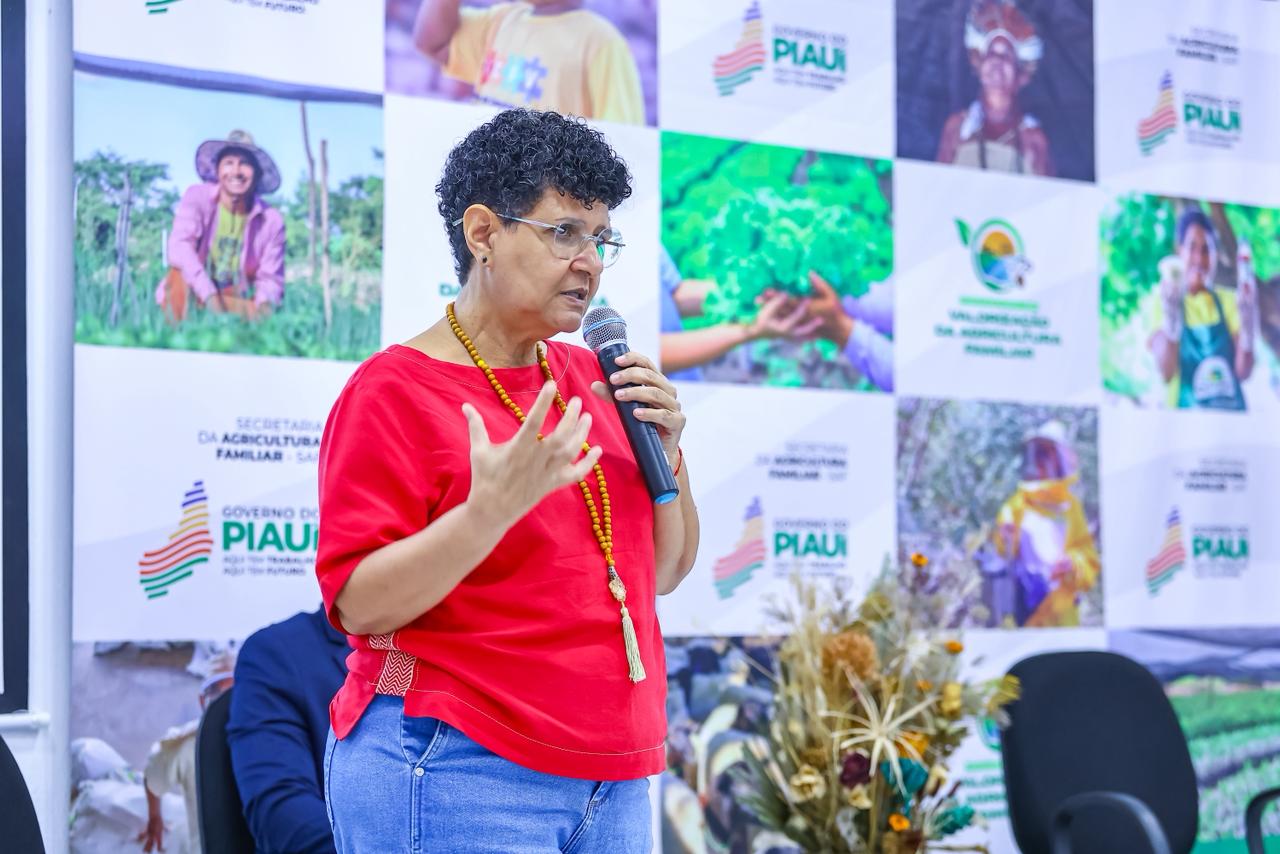 Secretária da Agricultura Familiar, Rejane Tavares, leva experiências para a COP 30