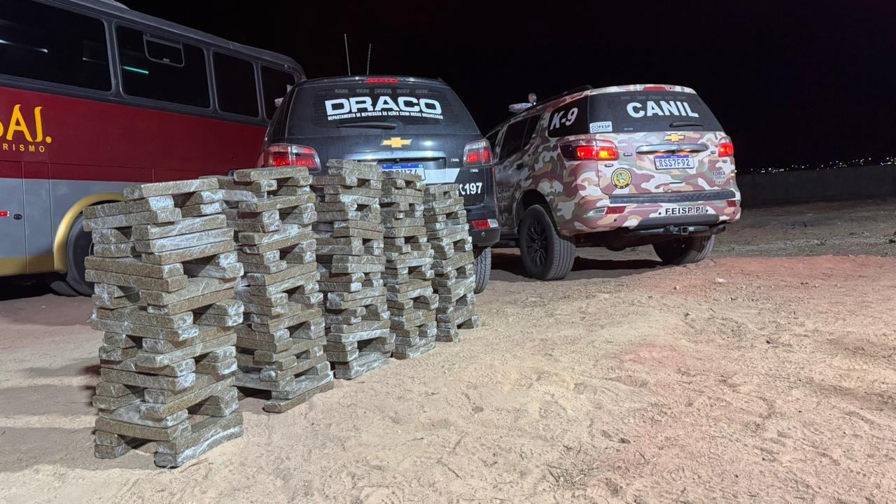 Super maconha: 250 quilos de sjunk estava sendo transportado em ônibus de turismo