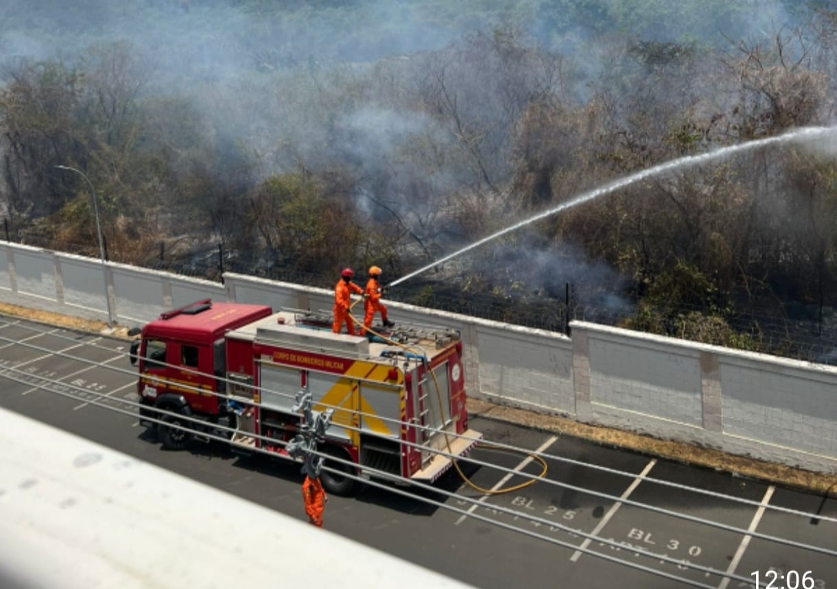 Homens do Corpo de Bombeiros controlando as chamas por volta 11h30